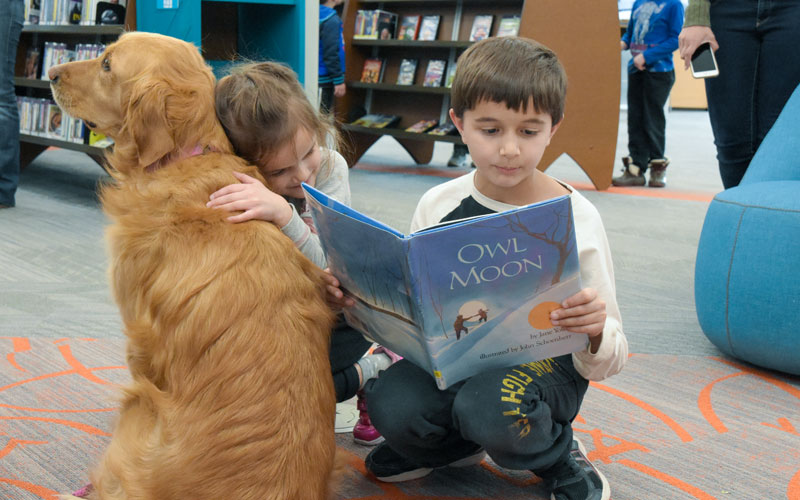 Bark for Books
