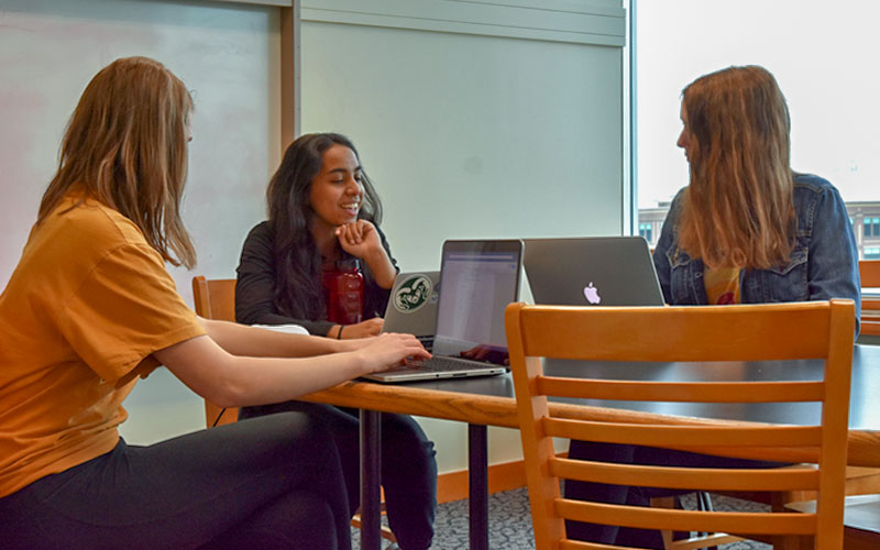 Study Rooms